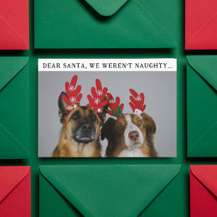 Cartes Pour Fêtes Annuelles Drôle animal personnalisé chien photo photo de Noë