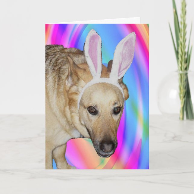 Cartes Pour Fêtes Annuelles Drôle Berger Allemand Chien & Oreilles Lapin Pâque (Devant)