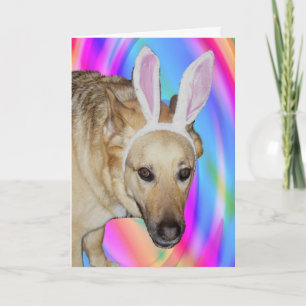 Cartes Pour Fêtes Annuelles Drôle Berger Allemand Chien & Oreilles Lapin Pâque