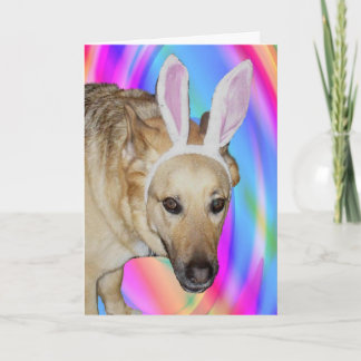 Cartes Pour Fêtes Annuelles Drôle Berger Allemand Chien & Oreilles Lapin Pâque