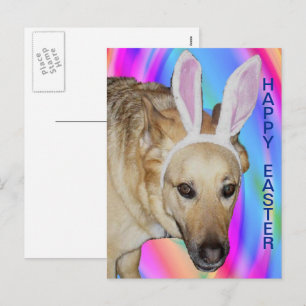 Cartes Pour Fêtes Annuelles Drôle Berger Allemand Chien & Oreilles Lapin Pâque
