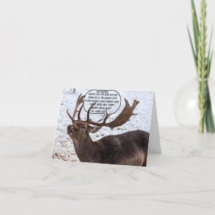 Cartes Pour Fêtes Annuelles Drôle Ce que les rennes savent Noël