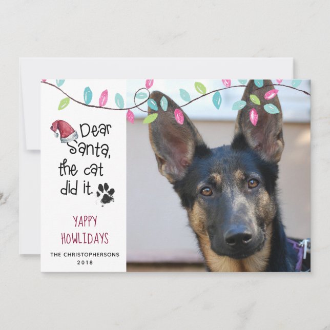 Cartes Pour Fêtes Annuelles Drôle Chien Dit | Lumières Pastel | Photo (Devant)