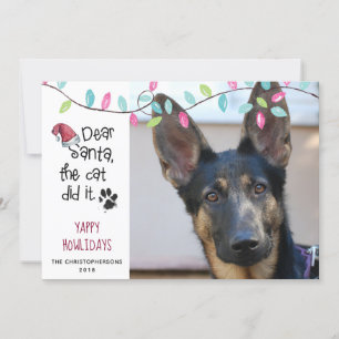 Cartes Pour Fêtes Annuelles Drôle Chien Dit   Lumières Pastel   Photo