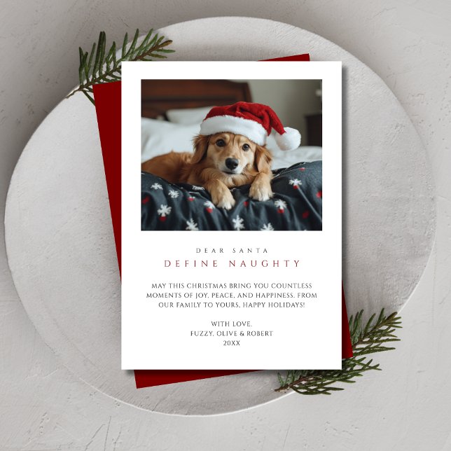 Cartes Pour Fêtes Annuelles Drôle Chien Photo Noël Définir Naughty Red Pet (Créateur téléchargé)