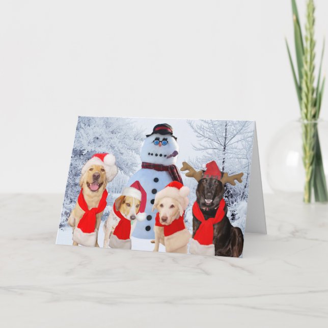 Cartes Pour Fêtes Annuelles Drôle Chiens Bonnes Fêtes (Devant)
