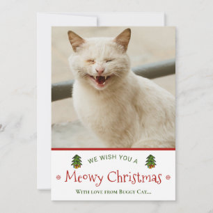 Cartes Pour Fêtes Annuelles Drôle de Cat Meowy Photo de Noël