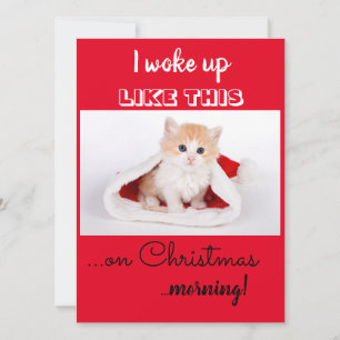 Cartes Pour Fêtes Annuelles Drôle de Chat Je Me Suis Réveillé Comme Ça Noël
