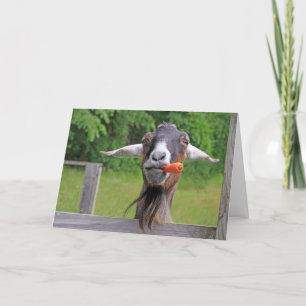 Cartes Pour Fêtes Annuelles Drôle Fête des pères de chèvre