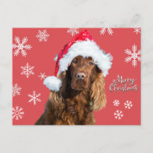 Drôle Joyeux chien de Noël à Père Noël Casquette