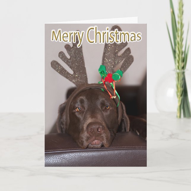 Cartes Pour Fêtes Annuelles Drôle Labrador Parties scintillant Antlers Texte p (Devant)
