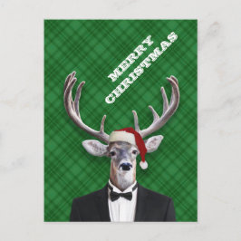 Cartes Pour Fêtes Annuelles Drôle Noël Chapeau Noël Cerf Vert Plaid