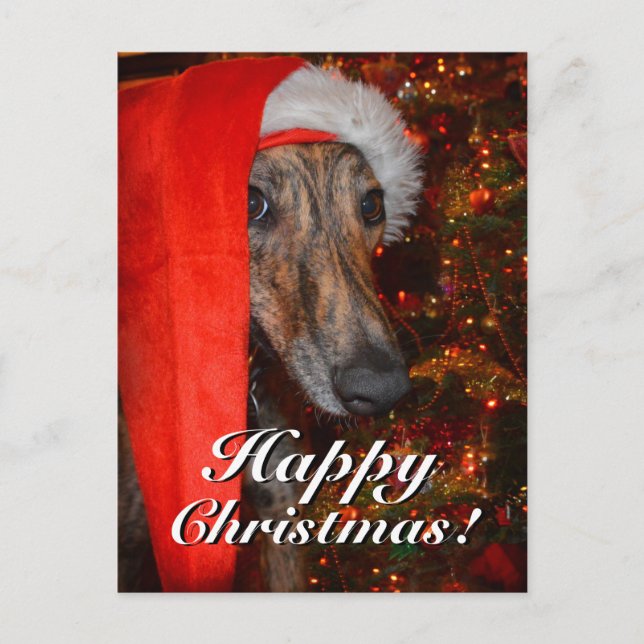 Cartes Pour Fêtes Annuelles Drôle Noël Père Noël Greyhound Lurcher (Devant)