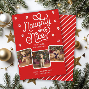 Cartes Pour Fêtes Annuelles Drôle ou gentil Photo de 3 animaux de compagnie Ch