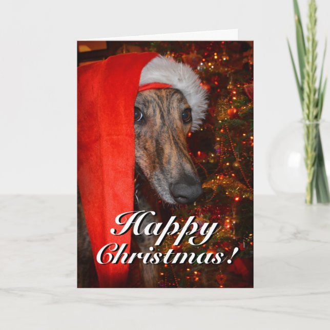 Cartes Pour Fêtes Annuelles Drôle Père Noël Chien Lurcher Greyhound Noël (Devant)