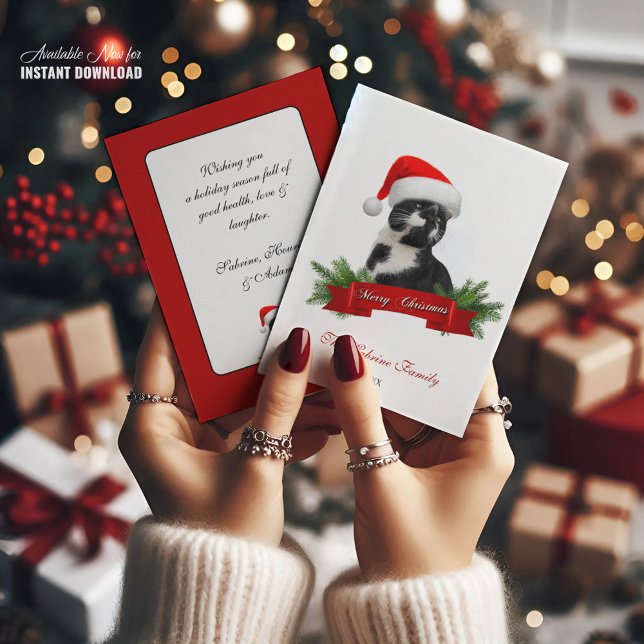 Cartes Pour Fêtes Annuelles Drôle Sarcastique Chat Santas Casquette Noël (Créateur téléchargé)