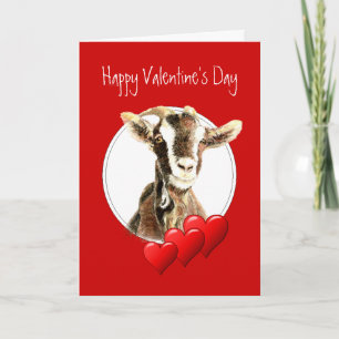 Cartes Pour Fêtes Annuelles Drôle Valentin à Vieux Chèvre, humour