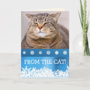 Cartes Pour Fêtes Annuelles DU CAT Meowy Fête de Noël personnalisée