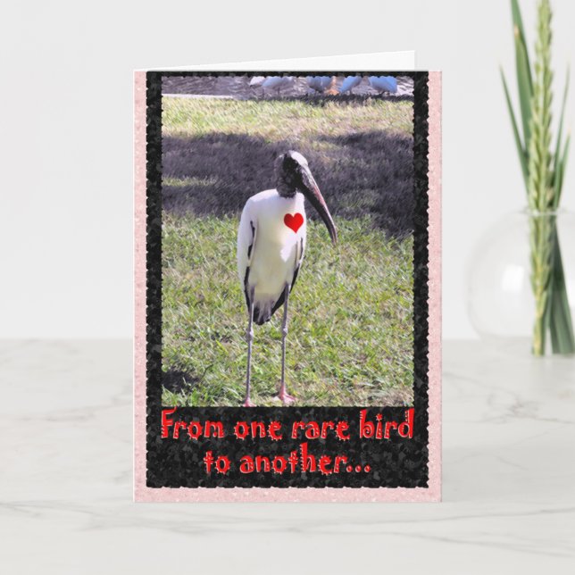 Cartes Pour Fêtes Annuelles D'un oiseau rare (Devant)