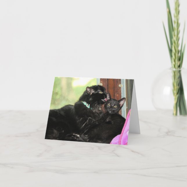 Cartes Pour Fêtes Annuelles Durée du bain (Devant)