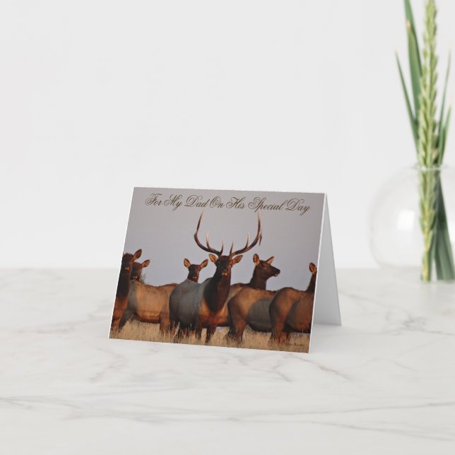 Cartes Pour Fêtes Annuelles E66 Elcs et vaches taureaux (Devant)