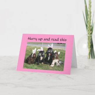 CARTES POUR FÊTES ANNUELLES EASTER BUNNY EST SUR UNE RAGE D'OREILLES! ! !