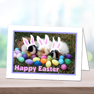 Cartes Pour Fêtes Annuelles Easter Bunny Guinea Pig Card