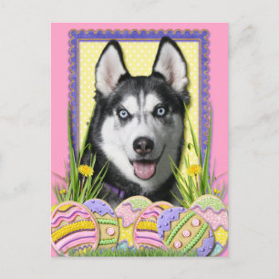 Cartes Pour Fêtes Annuelles Easter Egg Cookies - Siberian Husky