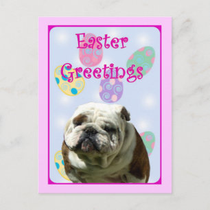 Cartes Pour Fêtes Annuelles Easter Greetings Bulldog postcard