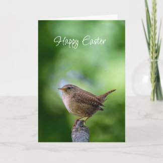 Cartes Pour Fêtes Annuelles Easter Spring Wren Bird Joy Happiness Wishes