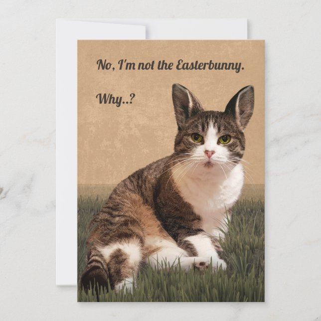 Cartes Pour Fêtes Annuelles 🐰-Easterbunny 😸 (Devant)