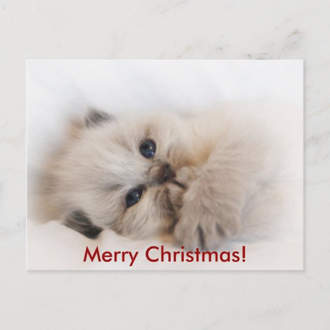 Cartes Pour Fêtes Annuelles ebay 003, Joyeux Noël ! (Devant)