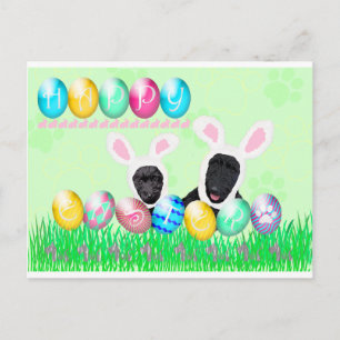 Cartes Pour Fêtes Annuelles Ecosse Pâques