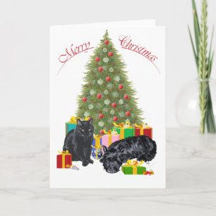 Cartes Pour Fêtes Annuelles Ecosse Terrier & Black Cat Noël
