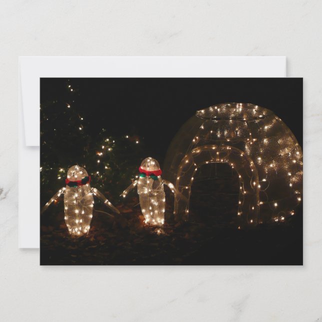 Cartes Pour Fêtes Annuelles Écran de lumière des fêtes de pingouins (Devant)