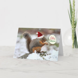 Cartes Pour Fêtes Annuelles Écureuil à Noël de neige