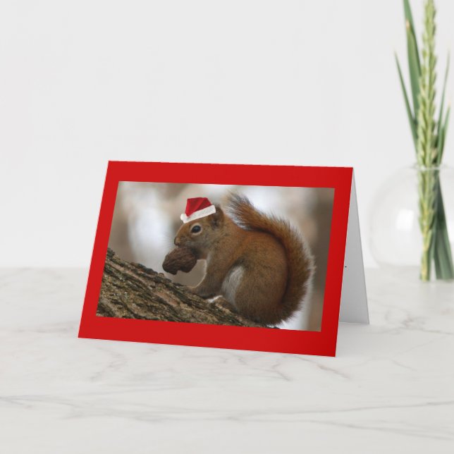 Cartes Pour Fêtes Annuelles écureuil de Noël (Devant)