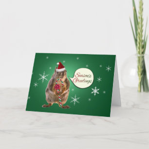 Cartes Pour Fêtes Annuelles Écureuil de Noël aux flocons de neige