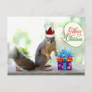 Cartes Pour Fêtes Annuelles Écureuil de Noël avec cadeaux de Noël