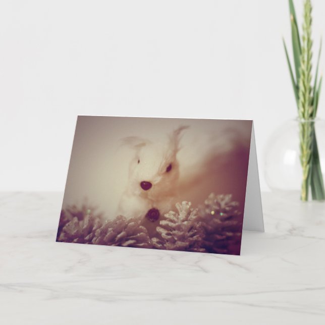 Cartes Pour Fêtes Annuelles Écureuil de Noël blanc (Devant)