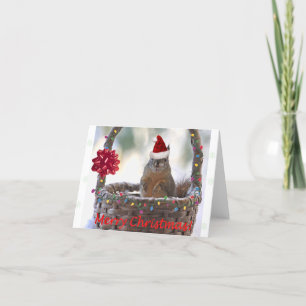 Cartes Pour Fêtes Annuelles Écureuil de Noël drôle