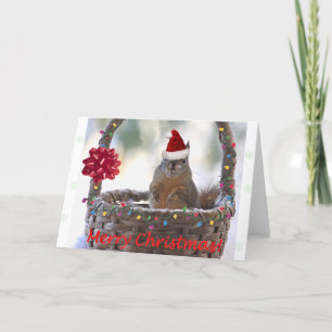 Cartes Pour Fêtes Annuelles Écureuil de Noël drôle