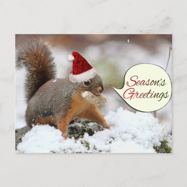 Cartes Pour Fêtes Annuelles Écureuil de Noël en neige (Devant)