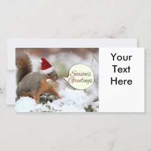 Cartes Pour Fêtes Annuelles Écureuil de Noël en neige
