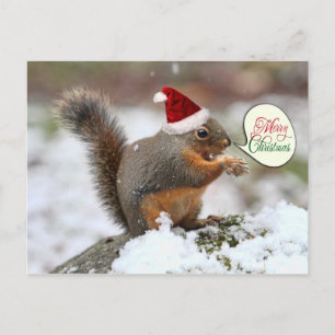 Cartes Pour Fêtes Annuelles Écureuil de Noël en neige