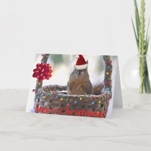 Cartes Pour Fêtes Annuelles Écureuil de Noël en panier avec neige