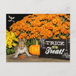 Cartes Pour Fêtes Annuelles Écureuil d'Halloween