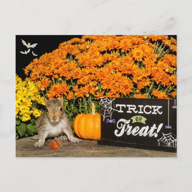 Cartes Pour Fêtes Annuelles Écureuil d'Halloween (Devant)