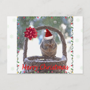 Cartes Pour Fêtes Annuelles Écureuil portant le chapeau du Père Noël