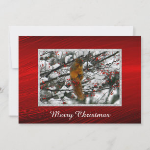 Cartes Pour Fêtes Annuelles Écureuil Rouge Berries Neige Arbre de Noël Apparte